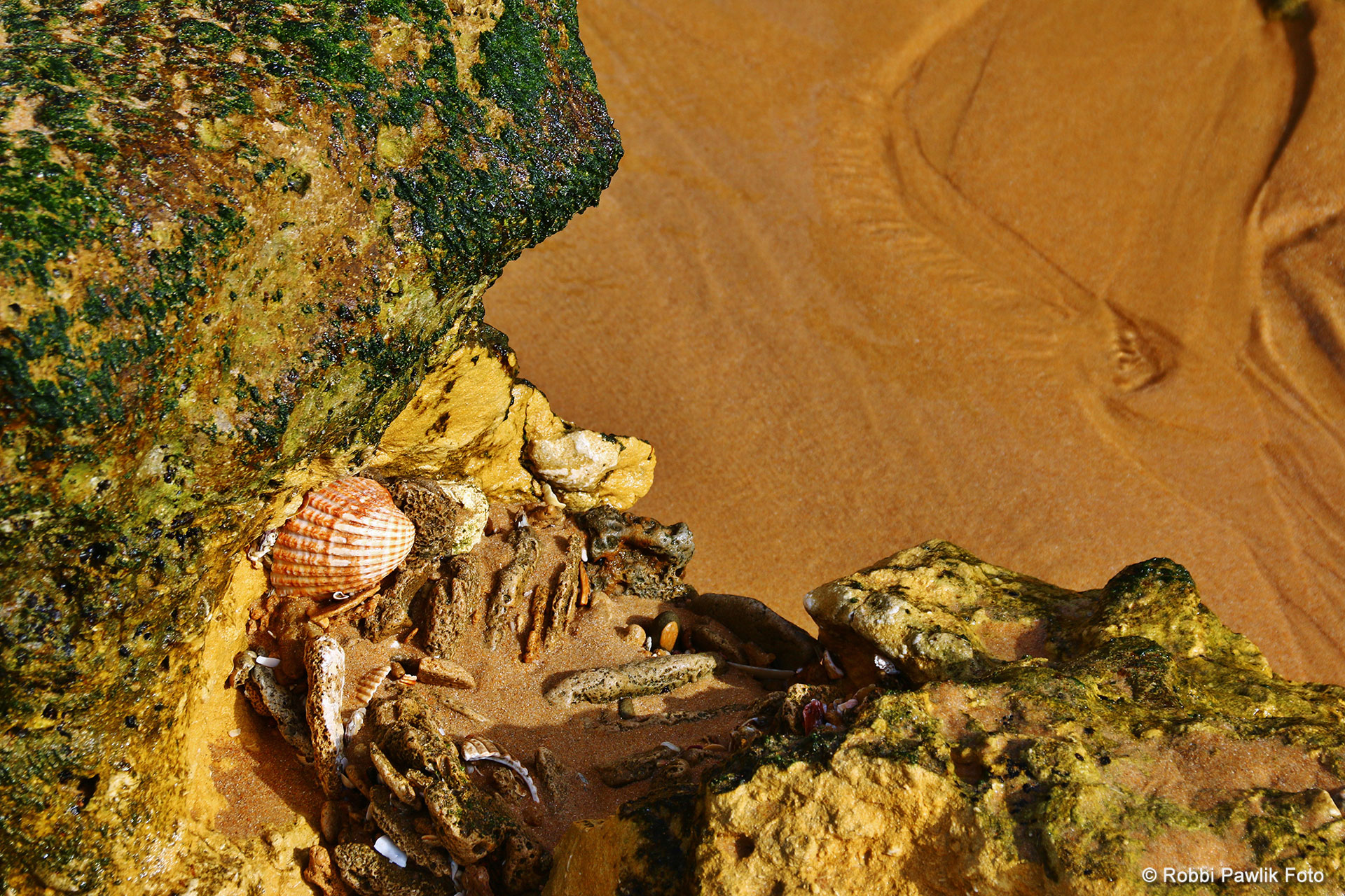 Algarve 11