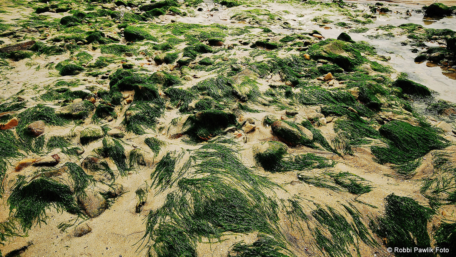 Bretagne 1