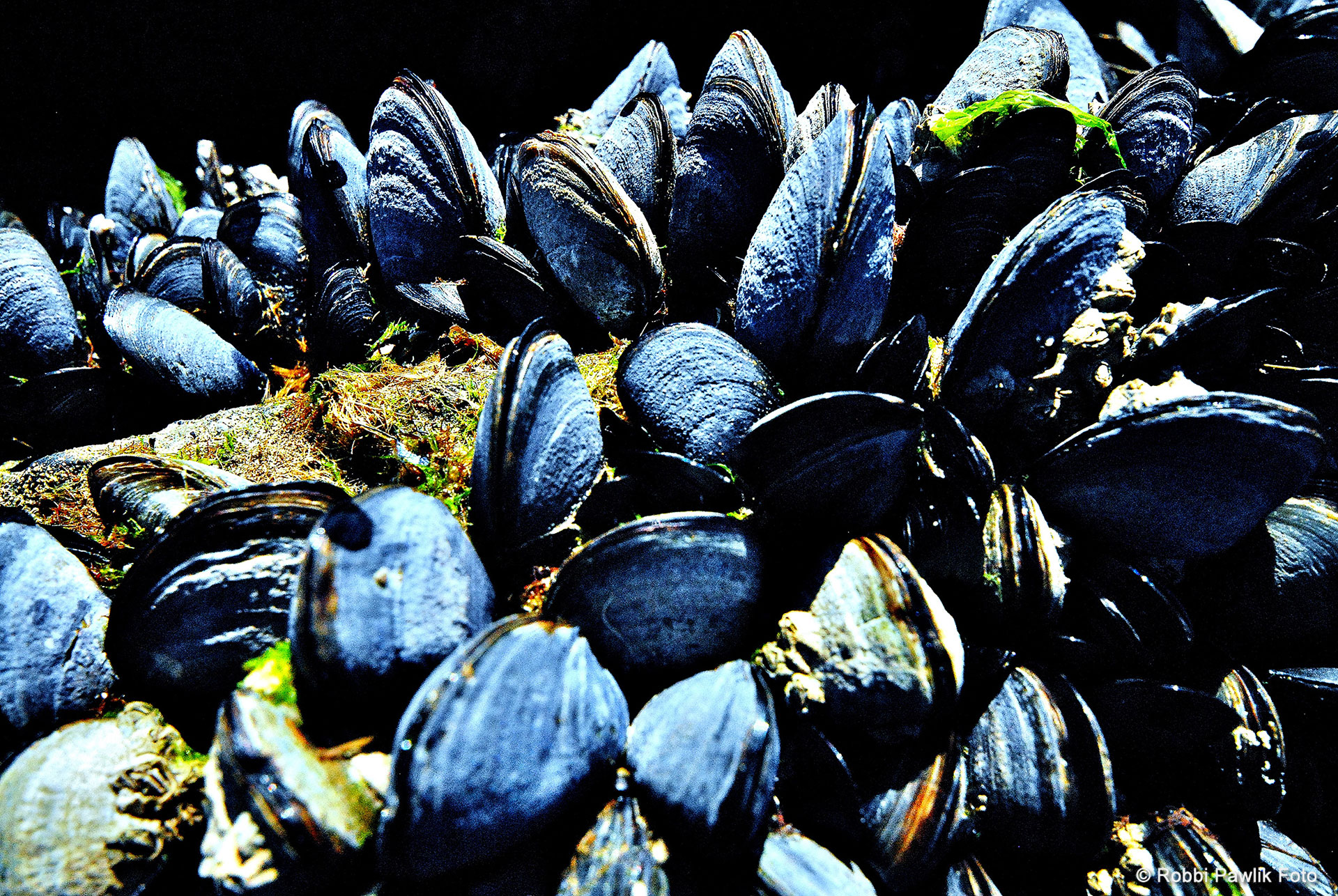 Bretagne 2
