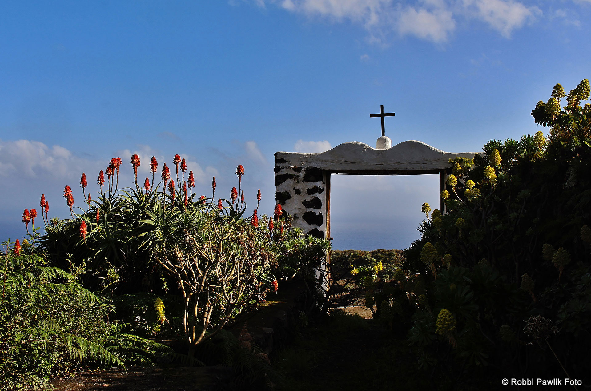 La Palma 10