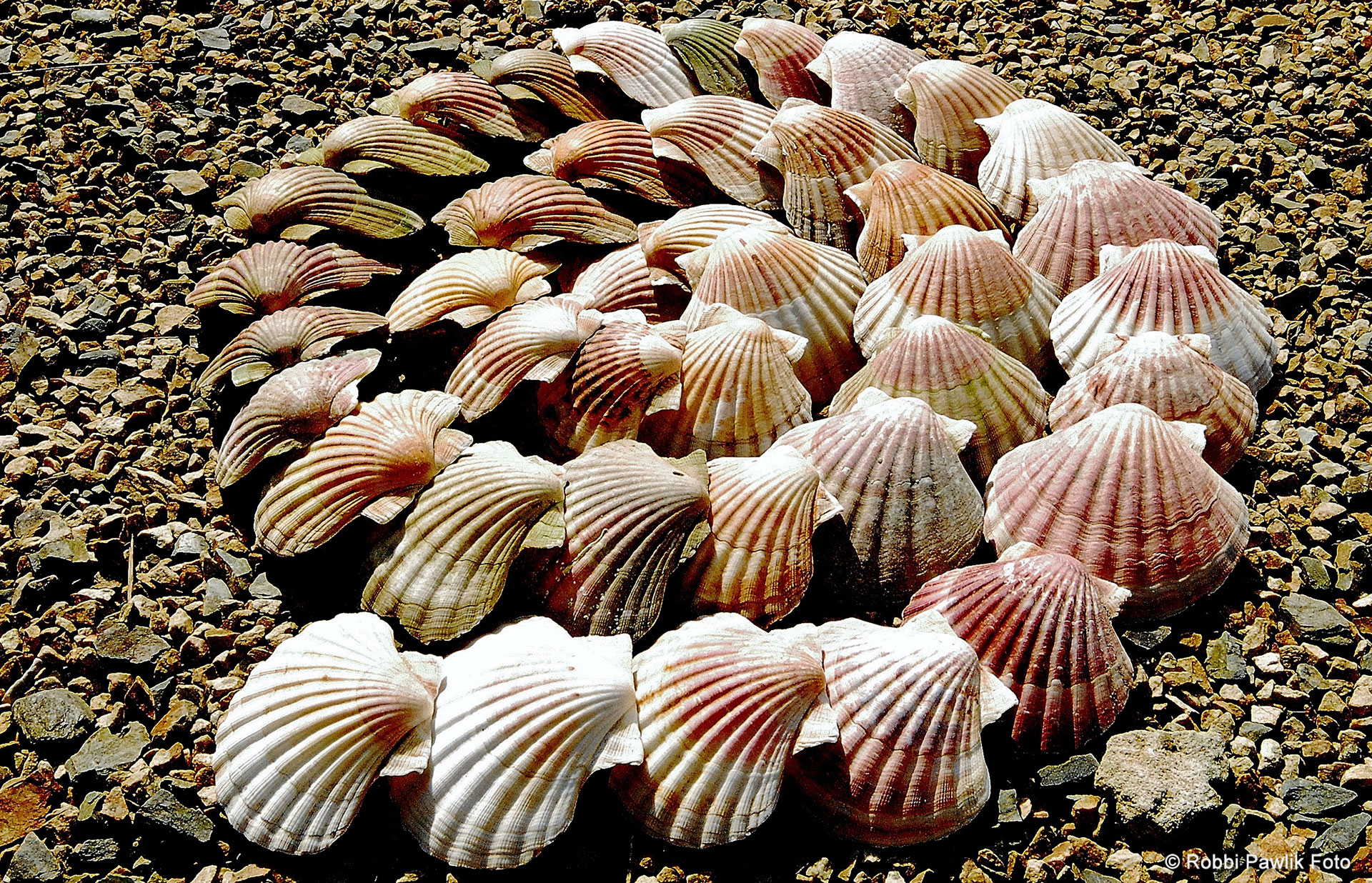 Bretagne 6