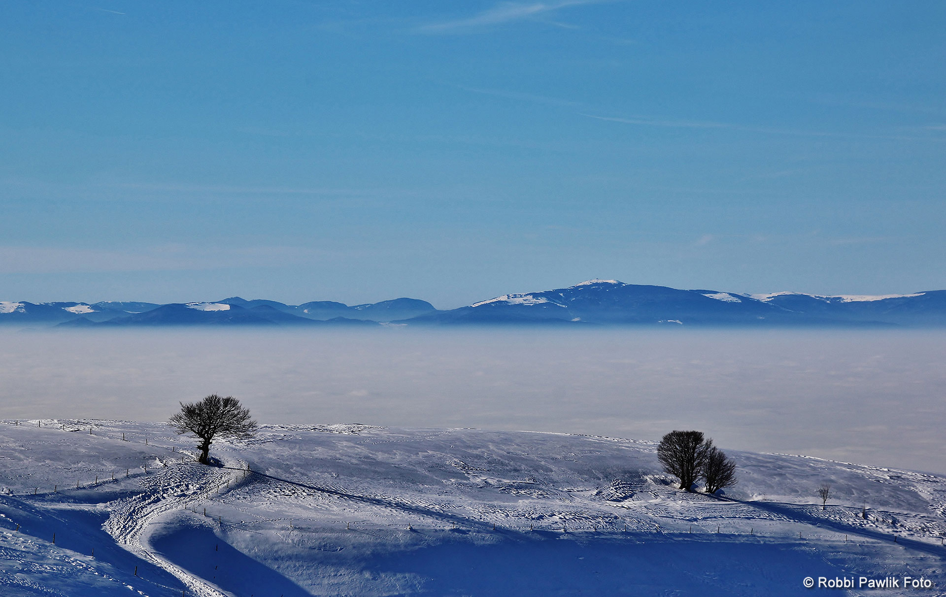 Schauinsland 1