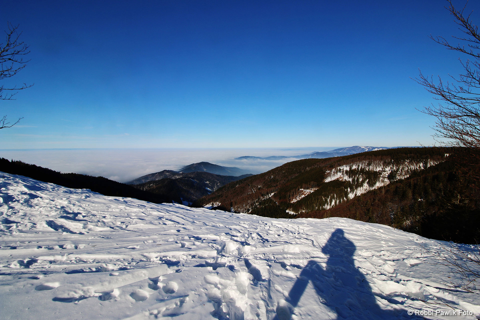 Schauinsland 4