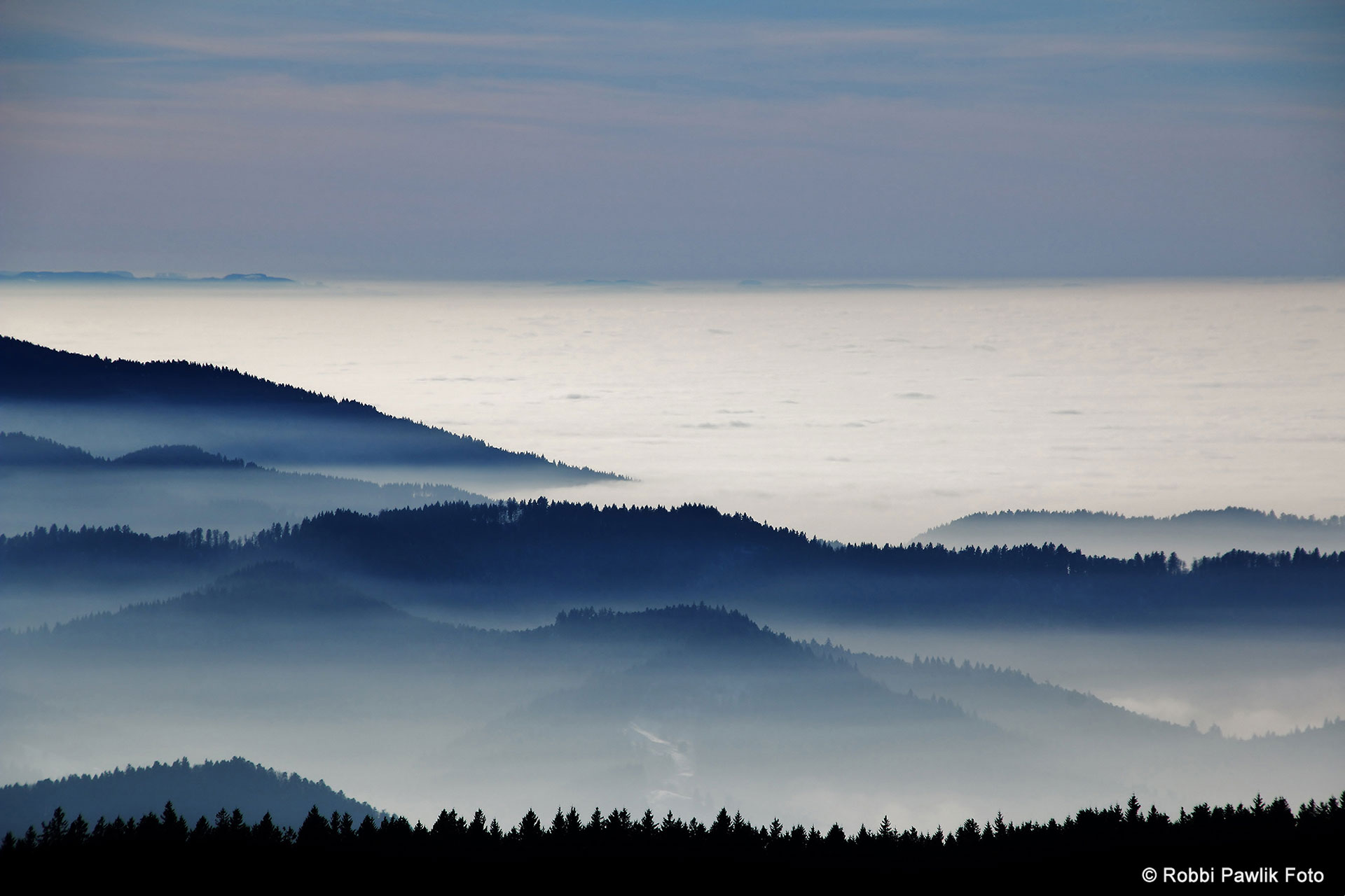 Schauinsland 7