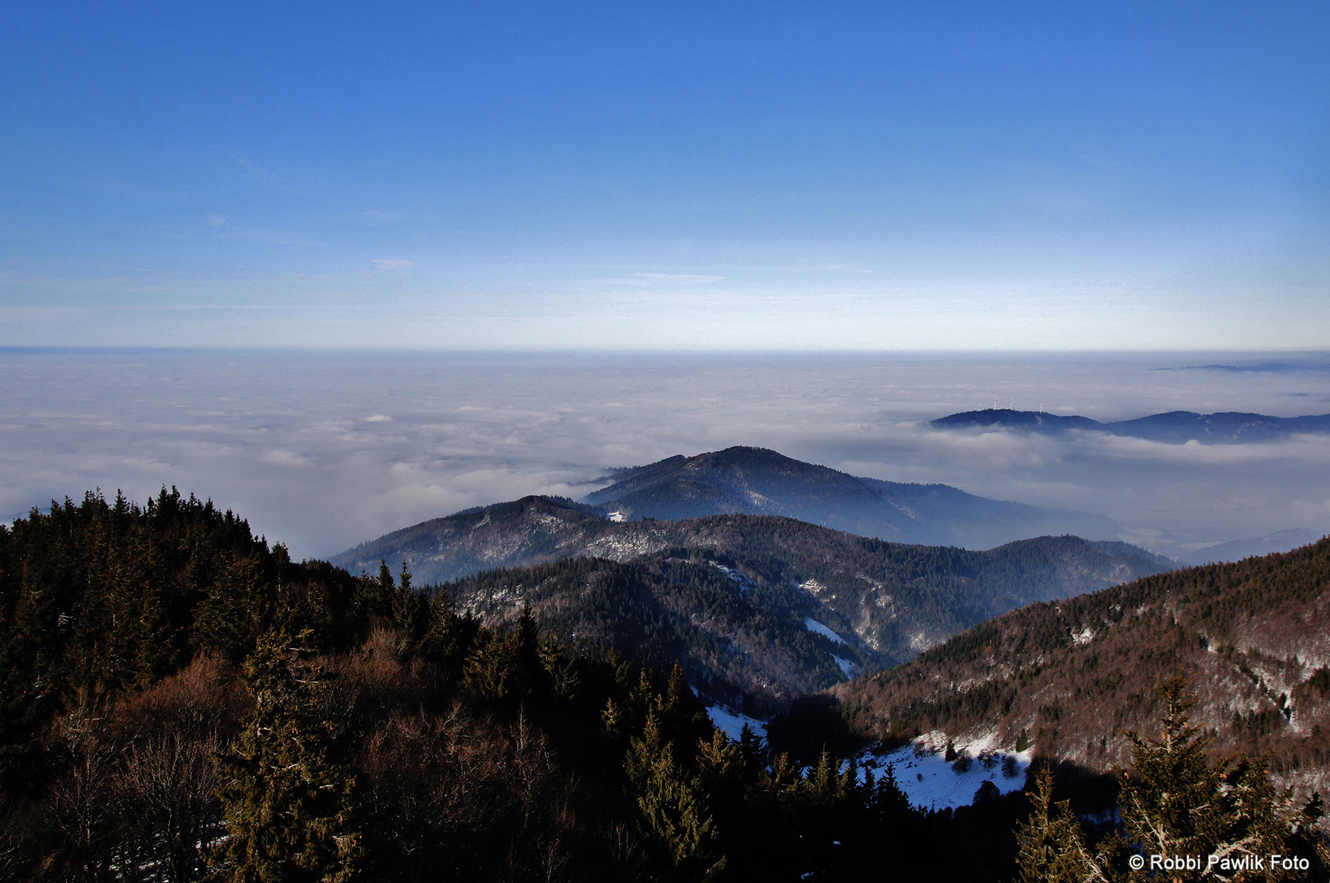 Schauinsland 8