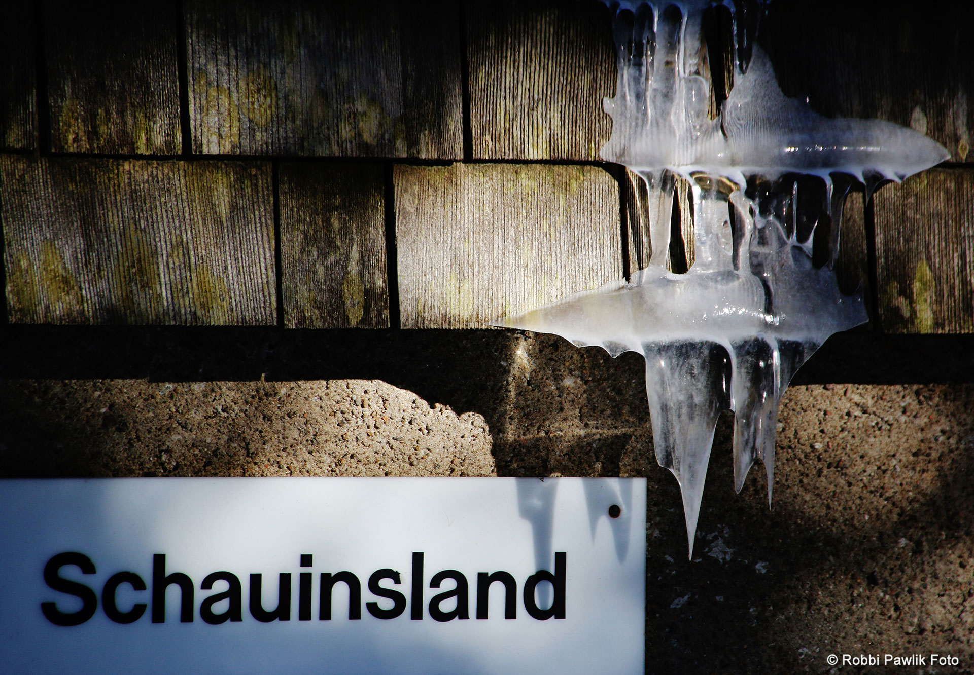 Schauinsland 11