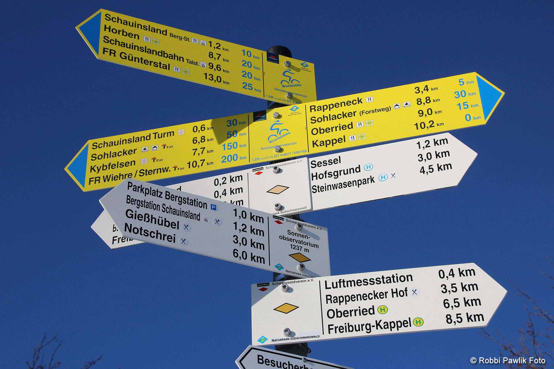 Schauinsland 12