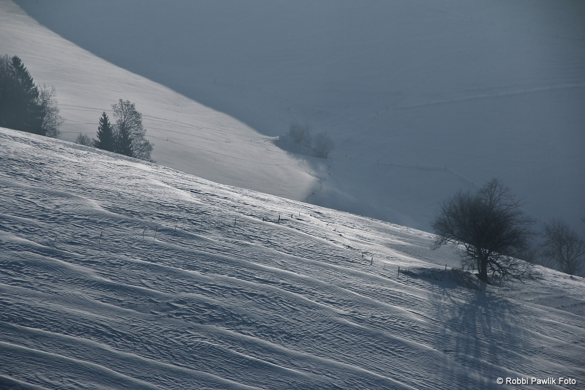 Bei St Märgen 1